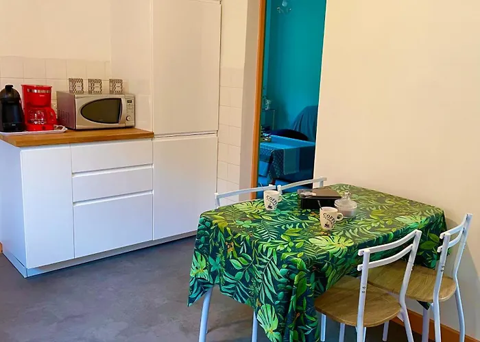Appartement A Tarascon Sur Ariege Le Sabart